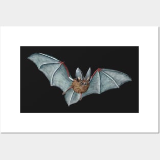 bat Posters and Art